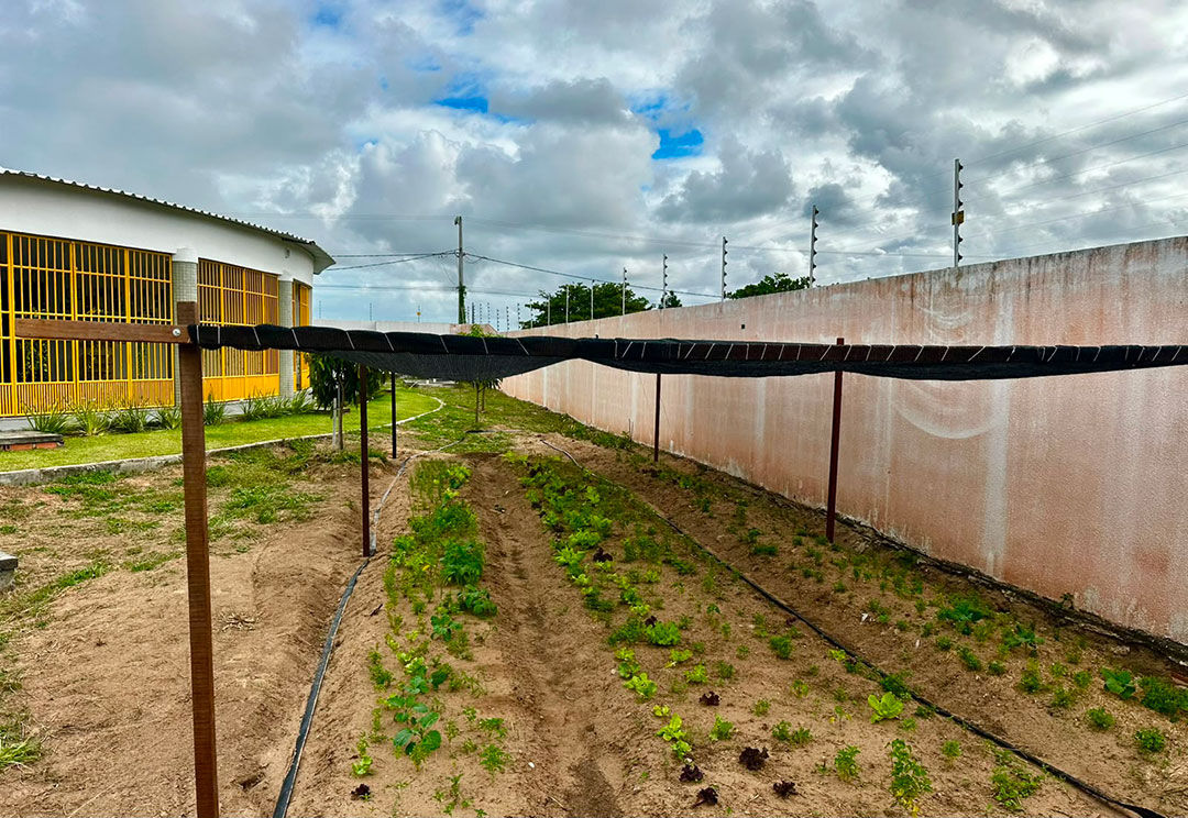 Casa de sossego vó tereza10